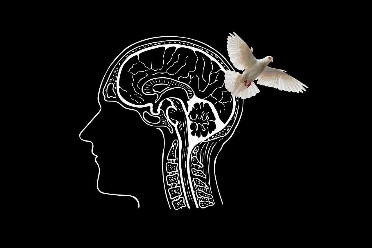 Exploring The Impact Of Neurological Conditions On Sleep Paralysis