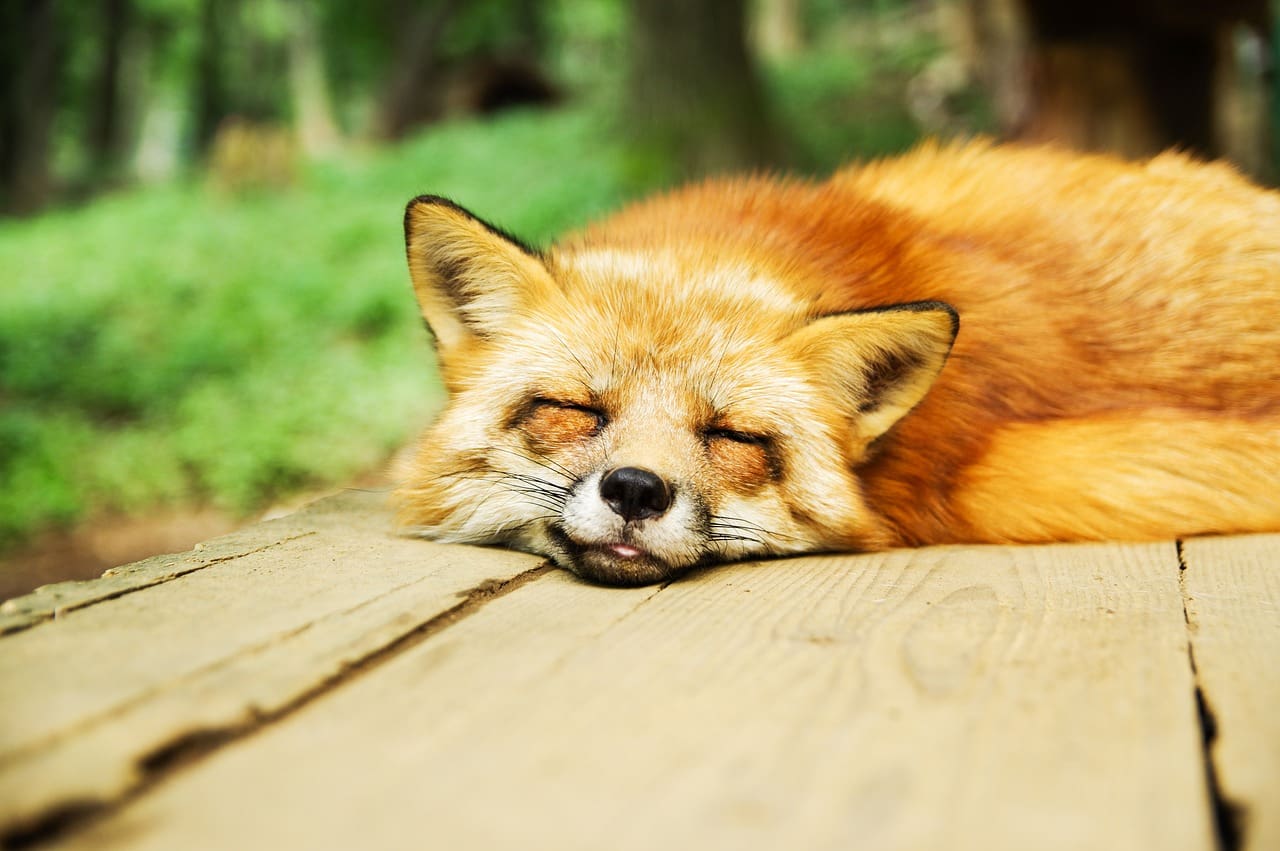 Effective Treatments For Sleep Paralysis Effective Treatments For Sleep Paralysis